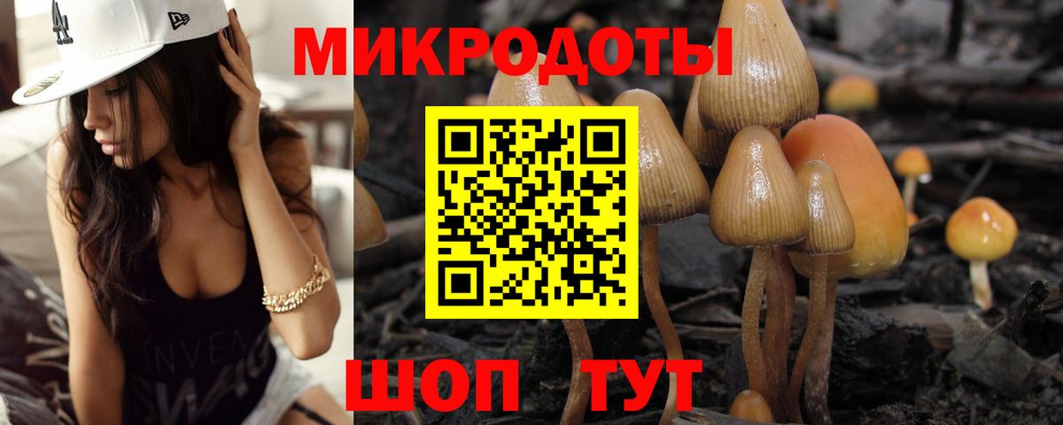 Зерноград  Галлюциногенные грибы Psilocybine cubensis  Вход с VPN 